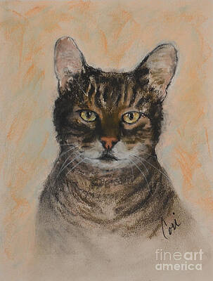 Calico Cat Drawings | Fine Art America