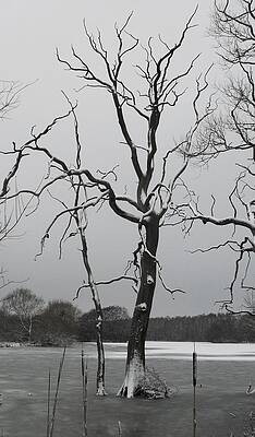 Coate2 by Michael Standen Smith Coate2 by Michael Standen Smith