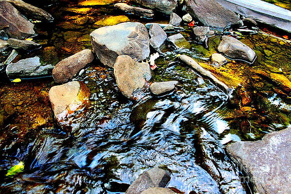 Colorful Stream by Babcock Homestead Photography