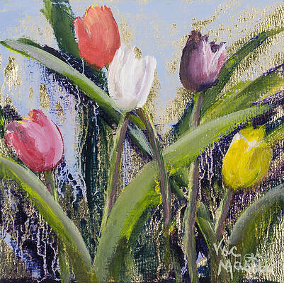 Colorful Tulip Series by Vic Mastis Colorful Tulip Series by Vic Mastis