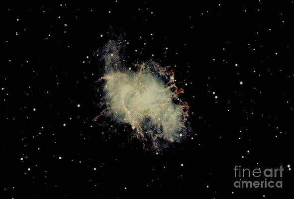 Wall Art - Photograph - Crab Nebula by Hale Observatories