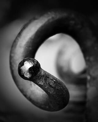 Curl by John Monteath