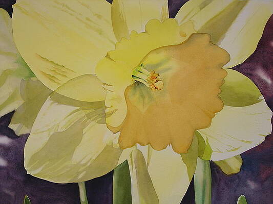Dad's Bloomers by Marlene Gremillion Dad's Bloomers by Marlene Gremillion