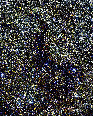 Wall Art - Photograph - Dark Nebula, G11.11-0.12, Infrared Image by 2MASS project NASA