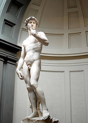 David by Tammy McKinley