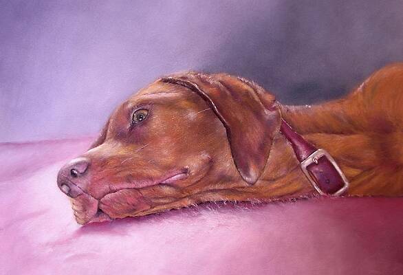 Daydreamer by Melanie Alvarado Daydreamer by Melanie Alvarado