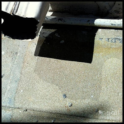 Wall Art - Photograph - Db 5 by Marlene Burns