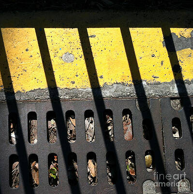 Wall Art - Photograph - Db 7 by Marlene Burns
