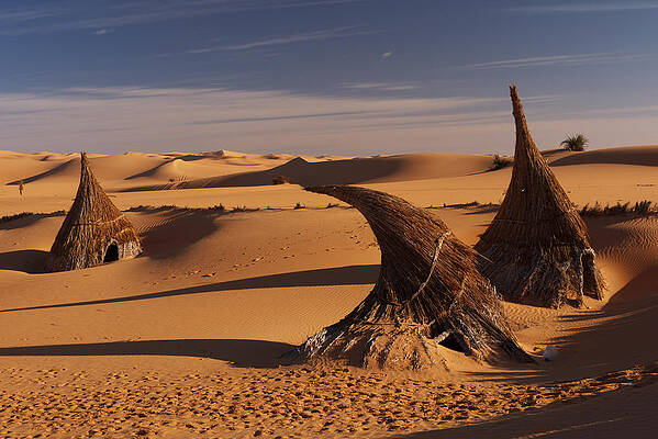 Desert luxury by Ivan Slosar Desert luxury by Ivan Slosar