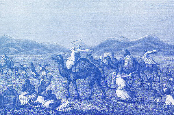Wall Art - Photograph - Desert Sandstorm, The Enemy Of Caravans by Science Source
