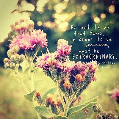 Wall Art - Photograph - do Not Think That Love, In Order To by Traci Beeson