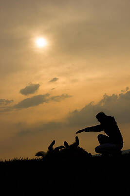Dog play by Jiri Lizler