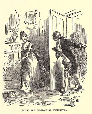 dolley todd evi