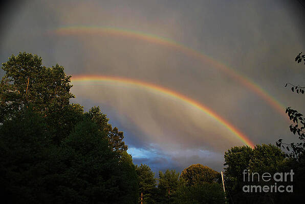 Wall Art - Photograph - Double Rainbow by Science Source