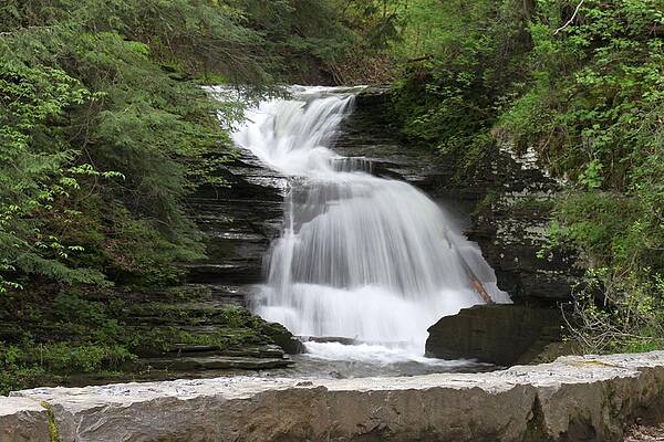 Dreamy Falls at Robert Treman NY State Park by Laurie Cybulak Dreamy Falls at Robert Treman NY State Park by Laurie Cybulak