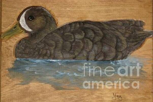 Duck by John  Lang