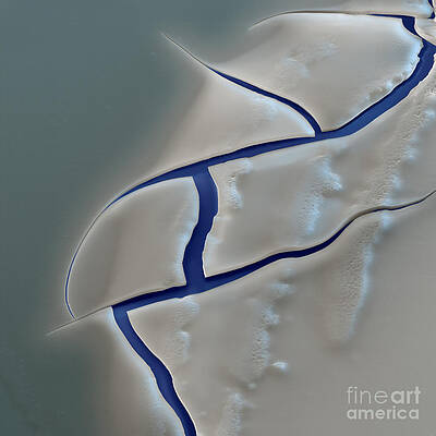 Wall Art - Photograph - E. Coli Endotoxin Sem by Eye of Science