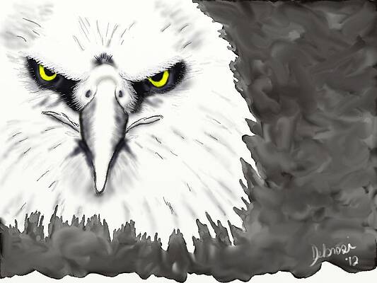 Eagle Face by Deborah Rosier Eagle Face by Deborah Rosier