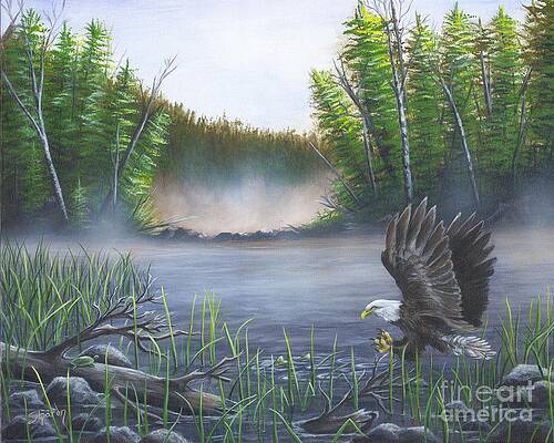 Eagle Flying by Sharon Molinaro Eagle Flying by Sharon Molinaro