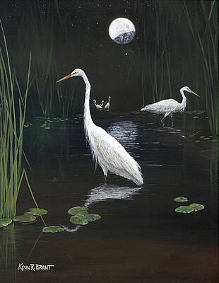 Egrets in the Moonlight by KEVIN BRANT Egrets in the Moonlight by KEVIN BRANT