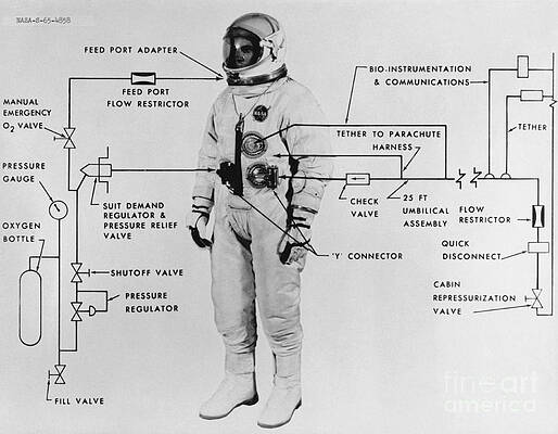 Wall Art - Photograph - Extravehicular Space Suit, 1965 by NASA/Science Source