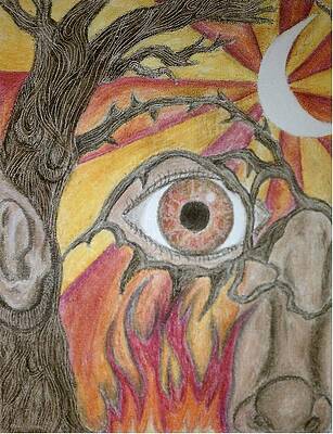 Wall Art - Drawing - Face in the Forest color by Josh Mayfield