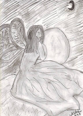 Wall Art - Drawing - Fairy of the Light by Tasha Starr