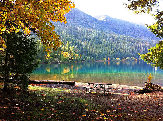 Fall at Lake Crescent by Kelly Manning Fall at Lake Crescent by Kelly Manning