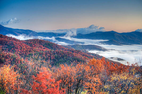 Wall Art - Photograph - Fall Fog 1 by Joye Ardyn Durham