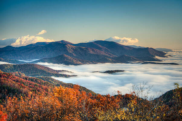 Wall Art - Photograph - Fall Fog 2 by Joye Ardyn Durham