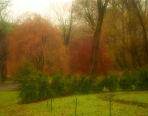 Fall In Brandywine Park by Emery Graham Fall In Brandywine Park by Emery Graham