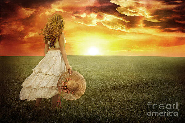 Fire in the Sky by Cindy Singleton Fire in the Sky by Cindy Singleton