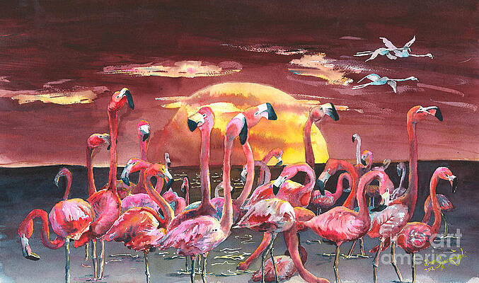 Flamingo Circus by David Ignaszewski Flamingo Circus by David Ignaszewski