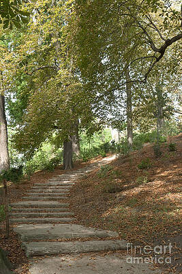 Wall Art - Photograph - Flight of steps in Parc des Buttes-Chaumont by Fabrizio Ruggeri