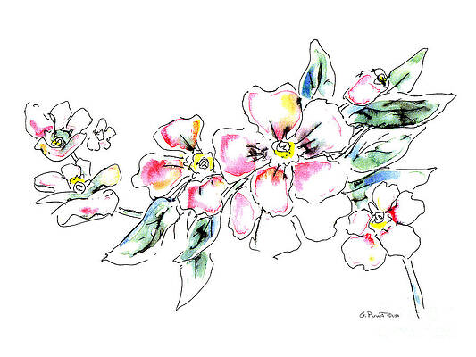 Wall Art - Painting - Floral Watercolor Drawings 5 by Gordon Punt