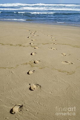 Wall Art - Photograph - Footprints on sandy beach leading to sea by Sami Sarkis Photography