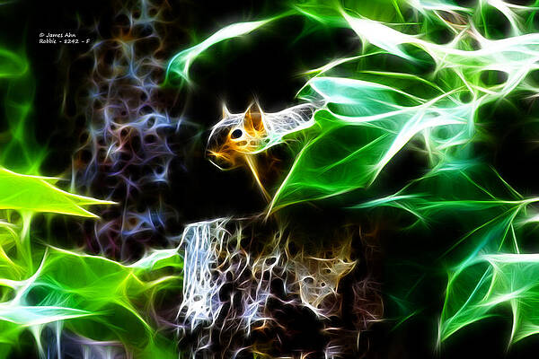 Wall Art - Digital Art - Fractal - Peek A Boo II - Robbie the Squirrel - 8242 by James Ahn