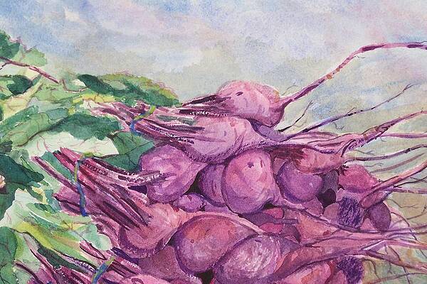 Fresh Beets by Barbara McGeachen Fresh Beets by Barbara McGeachen