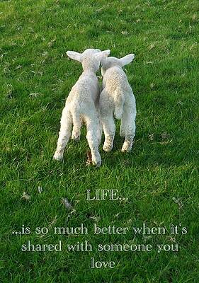 Friends by Michael Standen Smith Friends by Michael Standen Smith