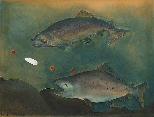 From the Salmon's Point of View by Mike Cavanaugh