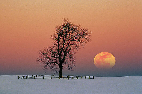 Full Moon Rising Near Graveyard by Larry Landolfi Full Moon Rising Near Graveyard by Larry Landolfi