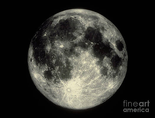 Wall Art - Photograph - Full Moon by Science Source