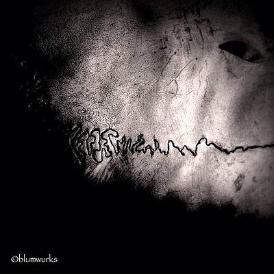Wall Art - Photograph - Fuse by Matthew Blum
