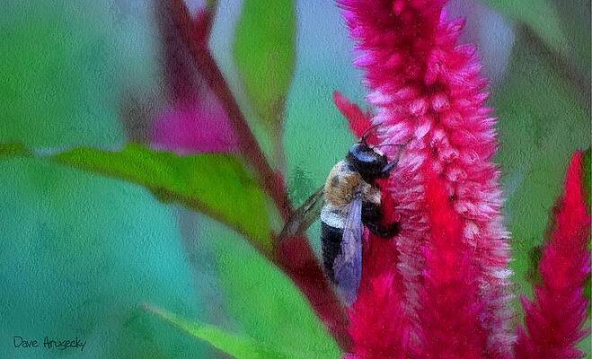 Getting it done by Dave Hrusecky
