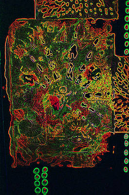 Glyph 1 by Mitra Kelly
