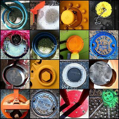 Wall Art - Photograph - Goin' In Circles by Marlene Burns