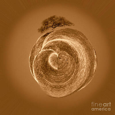 Wall Art - Photograph - Golden World Tree Photograph by Kristen Fox