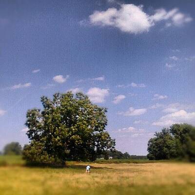 Wall Art - Photograph - Grayson Metal Detecting In The Back by Chris Morgan