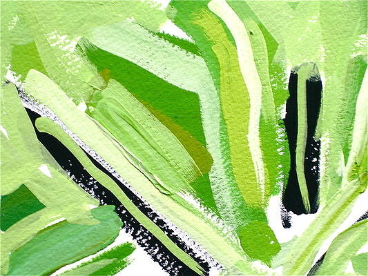 Greens by JG Boccella