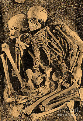 Wall Art - Photograph - Grimaldi Skeletons by Science Source